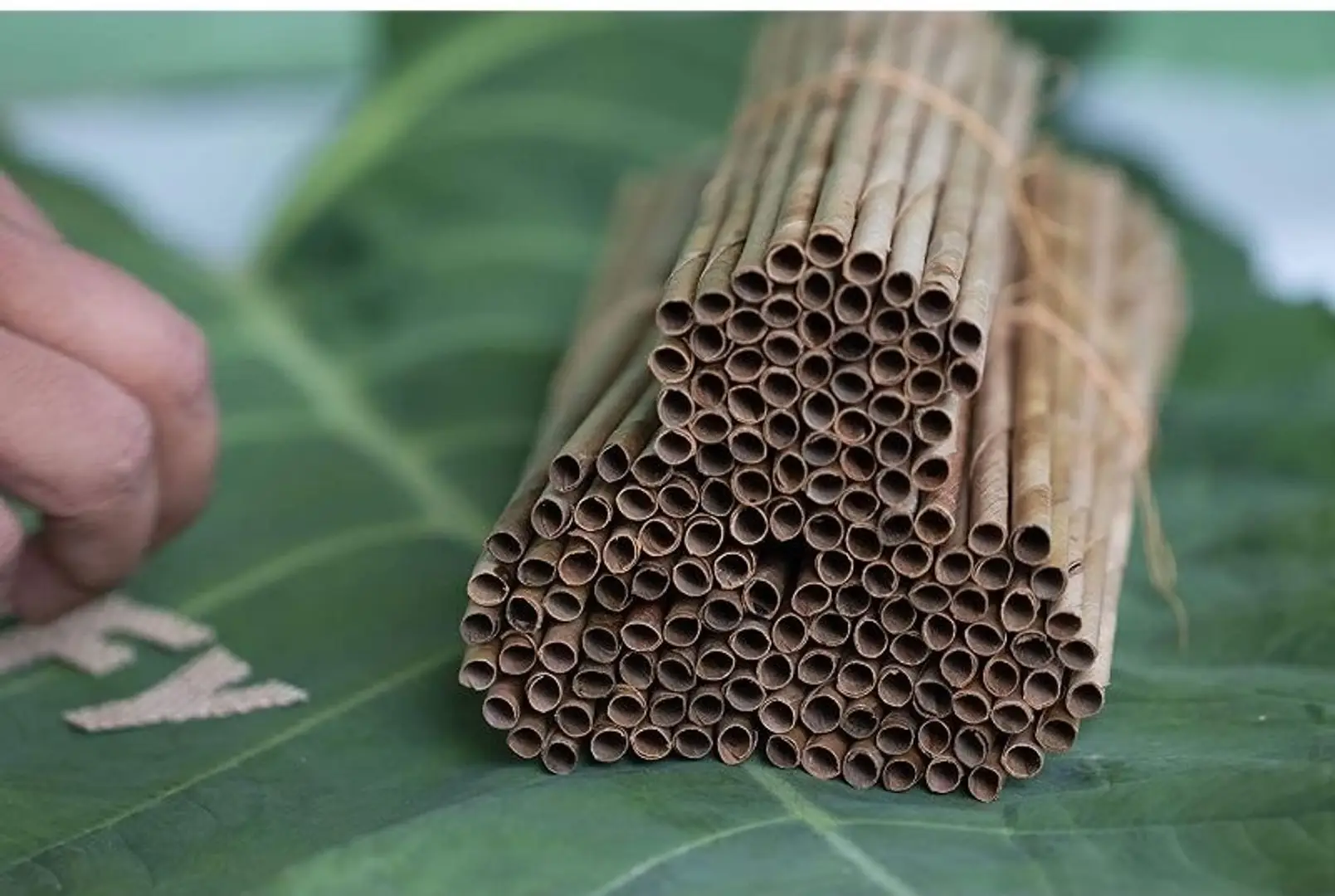 688338d2be20f6210233c7f5